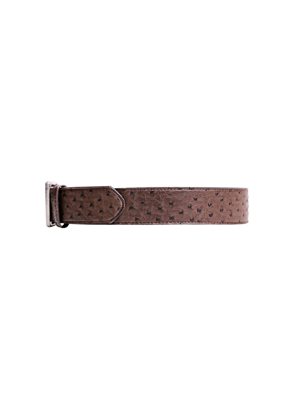 Ostrich Belt in Coffee Bean